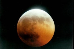 Picture14