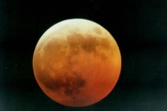 Picture23