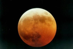 Picture24