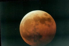 Picture26