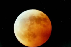 Picture30